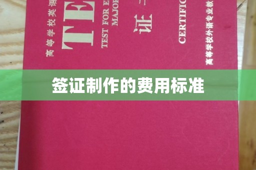 沧县签证制作的费用标准