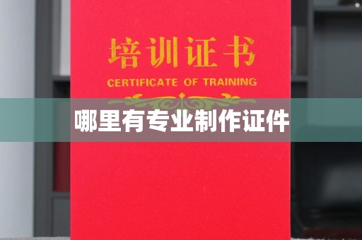 澄城哪里有专业制作证件