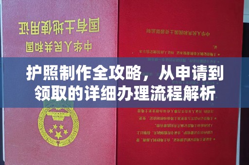 中正护照制作全攻略，从申请到领取的详细办理流程解析